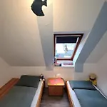 Haus-rittersporn