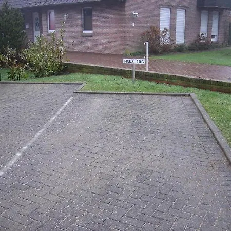 Haus-rittersporn * Sankt Peter-Ording