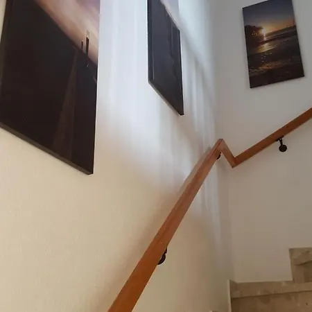 Haus-rittersporn Vakantiehuis