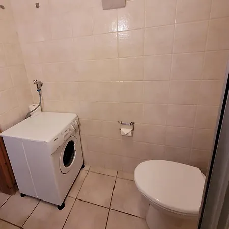 Haus-rittersporn Sankt Peter-Ording