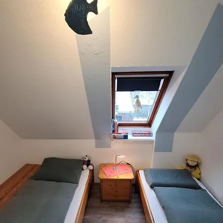 Haus-rittersporn
